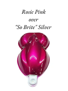 All Kandy's Rosie Pink So Brite Silver Glowin Bases Wet Wet Plus Clear Kit - Picture 1 of 11