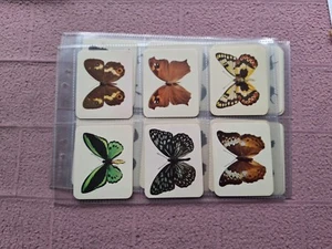 COMPLETE SET - NABISCO AUSTRALIA - BUTTERFLIES OF AUSTRALIA  GD - Picture 1 of 11