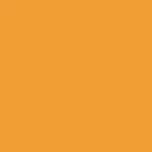 FILTRE Lee Filters 100x100mm No. 15 DARK YELLOW Black & White Resin Filter JAUNE - Imagen 1 de 1