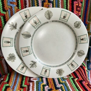 Pfaltzgraff Naturewood 2 Dinner Plates Beige Faded Herb Garden Edge * Retired - Picture 1 of 5