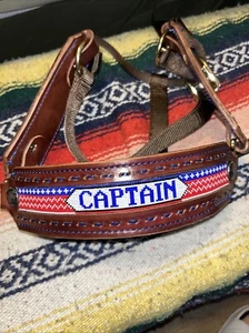 Weaver Buffalo Nickel Leather Horse Halter 1100-1600 Lbs Tack “Captain” - Picture 1 of 9