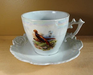 Taza/platillo extra grande Retsch & Co. RCW Bavaria RXH7 Phesants aprox. 1920 - Imagen 1 de 11