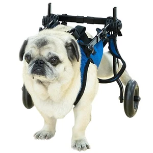 Pet Wheelchair Disabled Hind Legs Walking-Dog Leg Brace and Hip Support,Medium - Picture 1 of 5