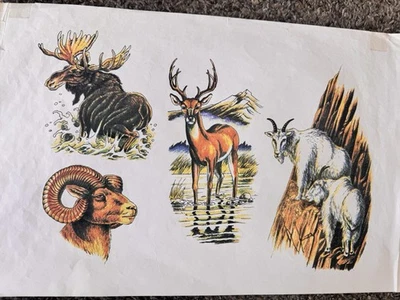 3 hojas flash vintage de tatuajes de animales de los 80 de una tienda de tatuajes de 50 años paredes Foto 1 de 3