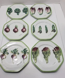 Willams Sonoma Salad Plates Vegetable Garden Pattern Set Of 6 - Picture 1 of 11
