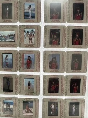 Lote masivo 795 Traci Bingham, Baywatch 35 mm diapositivas años 1997 agencia de fotos de celebridades Foto 1 de 4