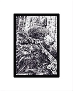 Nap Time Print, Note Card, Pen and Ink, Matted, Bear Cub - Picture 1 of 7