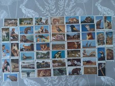 Comet Sweets Cards, Armand & Michaela Denis on Safari    F/S 50 cards    Anc37