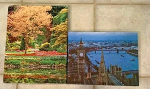 2 rompecabezas de colección 500 piezas Ambassador The Garden - Springbok Noche en el Támesis - Imagen 1 de 5