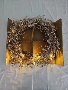 Balsam Hill 22 Zoll Frozen Waldkranz LED - Bild 1 von 7