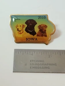 2010 Ducks Unlimited Official National Convention Iowa State Pin - Picture 1 of 1