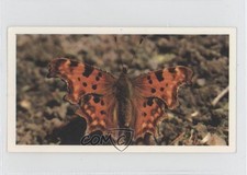1983 Grandee British Butterflies Comma #12 1i3
