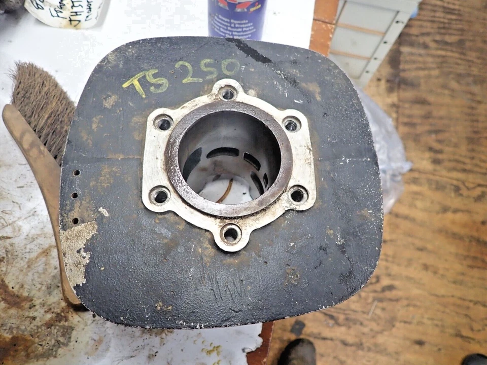 Ствол кувшина цилиндра Suzuki TS 250 - Изображение 1 из 4