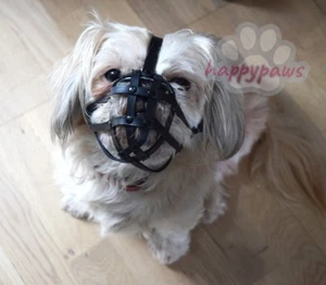 Bozal de cuero para perro | Shih Tzu y otros hocicos cortos de cara plana | Fuerte, elegante - Imagen 1 de 5