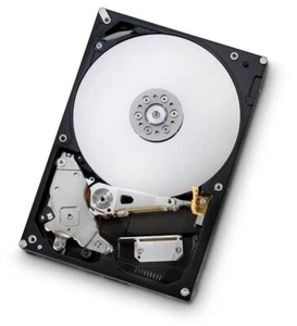 HGST 1TB 16MB 7200RPM SATA Bulk/OEM Festplatte (0A38016) - Bild 1 von 2