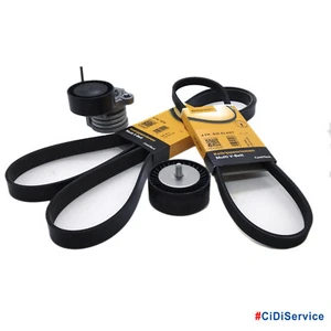 Kit Cinghie Servizi + Tendicinghia + Rullo BMW 118d 120d 318d 320d Motore M47 - Picture 1 of 7