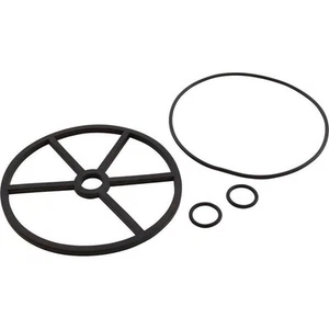 Astral Valve Lid O-Ring 4404120407 Astralpool - Picture 1 of 1