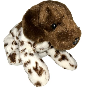 Peluche suave de peluche Aurora Floppsie 12" puntero alemán de pelo corto cachorro perro 2021 - Imagen 1 de 5
