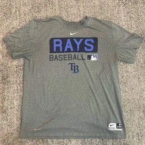 Tampa Bay Rays T Shirt Mens XL Nike Dri Fit Logo Gray Authentic Collection - Picture 1 of 9