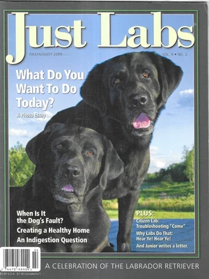Just Labs Dog Magazine Health Home Channeling Water Rescue Come Command 2009 - Image 1 of 4