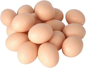 20 PIEZAS Huevos Falsos de Plástico para Huevos de Pascua Hágalo Usted Mismo, Pintura y Huevos Realistas - Imagen 1 de 7