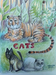 Catos Tigre Gato Negro Gato Blanco Original Cuaderno de Bocetos Dibujo por Melissa Bollen - Imagen 1 de 6