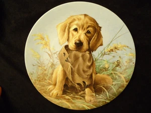 GOLDEN RETRIEVER CAUGHT IN THE ACT LYNN KAATZ COLLECTOR PLATE 1987 KNOWLES - Picture 1 of 6