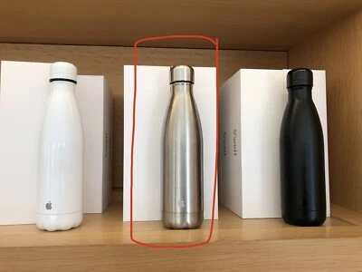 Apple Park Visitor Center S’well Swell Water Bottle Silver Stainless Steel