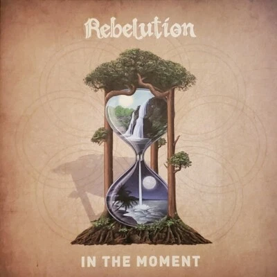 Rebelution  In The Moment 12" Rare Blue & Green in Beer Vinyl - SEALED /700 - Image 1 of 4