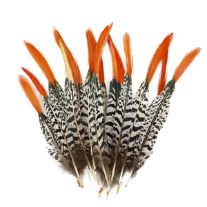 2-14inch/5-35 cm wholesale Premium Pheasant Tail red tip Feathers Diy carnival - Picture 1 of 14
