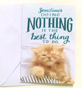 CUTE HALLMARK KITTEN BIRTHDAY CARD “SOMETIMES DOING NOTHING IS THE BEST THING” - Picture 1 of 3