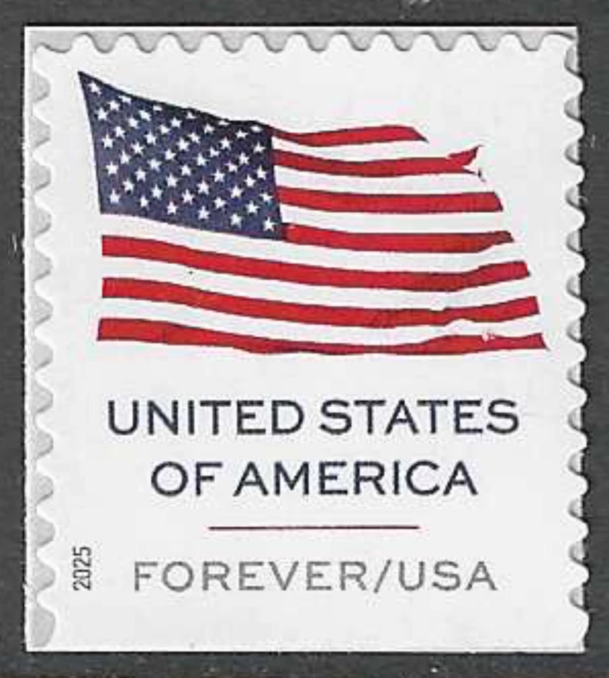 USA Sc. 6020 (F) Flag 2025 MNH APU bklt. single - Image 1 of 1