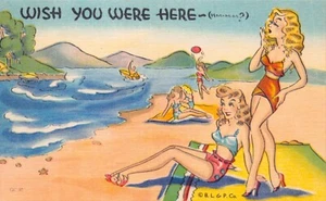 Bathing Beauties Bikini Lake Sand Beach RAY WALTERS Comic Vtg Postcard CP410 - Picture 1 of 2