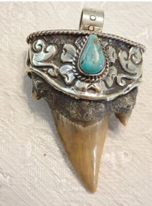 Real Fossil Shark Tooth Pendant with Turquoise in Tibetan Silver - Picture 1 of 4