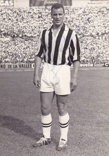Calcio/Football foto/cartolina JUVENTUS - CHARLES anni '60 con autografo orig.
