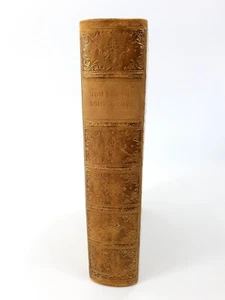 1904 Tom Brown's School Days Oakfield School Prize Library Edition - Bild 1 von 11