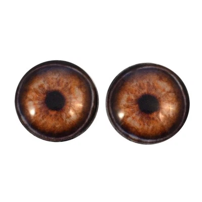 Par Realistas Elefante Ojos de Vidrio Joyería Muñecas Taxidermia Espalda Plana Cabujones Foto 1 de 4