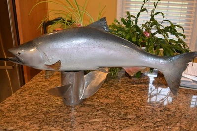 REY SALMON MONTURA PIEL REAL TAXIDERMIA EXHIBICIÓN RESTAURANTE BAR DECORACIÓN DEL HOGAR HOMBRE CUEVA Foto 1 de 3