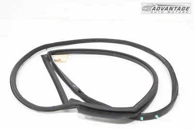 Dodge Charger 2018-2023 puerta trasera derecha sello tira resistente OEM Foto 1 de 4