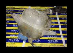 46758650 expansion tank for MITSUBISHI MONTERO SPORT (K90) 1998 188090 - Imagen 1 de 3