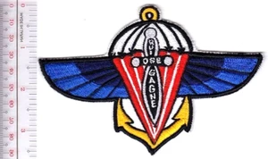 Frankreich Marine Marine Regiment Airborne RPIMa Special Air Service SAS Wings - Bild 1 von 1