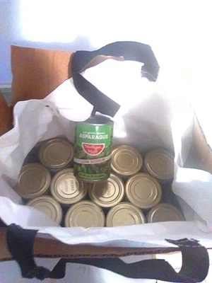  LOT 12 CANS Michigan Made Low Sodium Cut Asparagus 14.5 Oz EXP 5-2028 YUMMY ! - Image 1 of 4