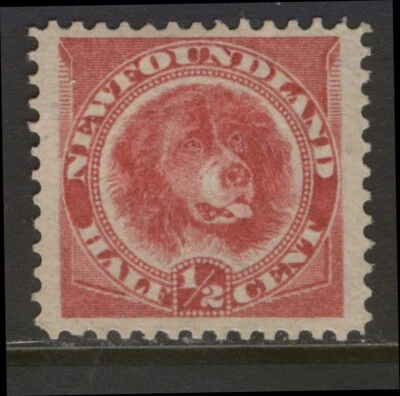 NEWFOUNDLAND 56 1/2c ROSE RED DOG 1887 BABNC MONTREAL PRINTING MPH (#4) CV$45  - Image 1 of 2