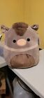 12 Squishmallow Desert Squad Oden The Peccary Pig
