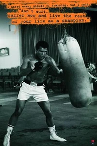 Muhammad Ali Sandsack Poster 61 x 91,5 cm - Bild 1 von 5