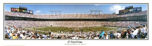 Carolina Panthers Bank of America Stadium 47 Yard Unframed Panoramic Poster 1006 - Picture 1 of 1