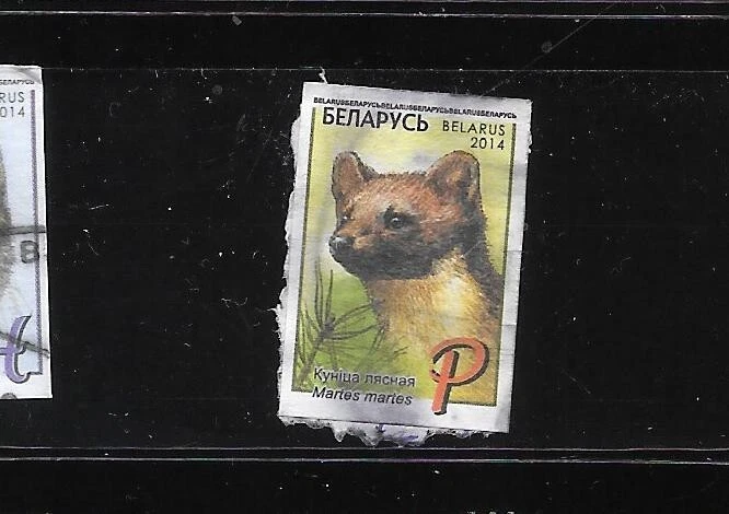 BELARUS SC# 927 2014 MARTES MAMMAL DEFINTIVE XF POSTALLY USED SELF ADH STAMP - Image 1 of 1