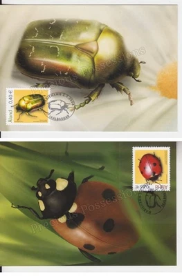 ALAND FDC FIRST DAY POSTCARD STAMP SET 2006 INSECTS LADYBIRD ROSE-CHAFER BEETLE - Image 1 of 2