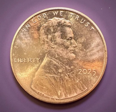 2025-P 🔥 Doubled Die  BU Lincoln Shield Cent  WDDO-003 1125.1 - Image 1 of 4