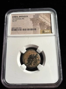 Antioch 1st Century BC AE 19 NGC Ancient - Picture 1 of 4